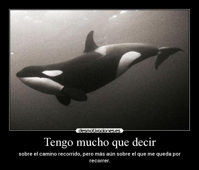 Tengo mucho que decir - 