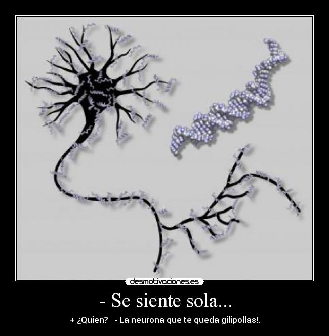 - Se siente sola... - + ¿Quien?   - La neurona que te queda gilipollas!.