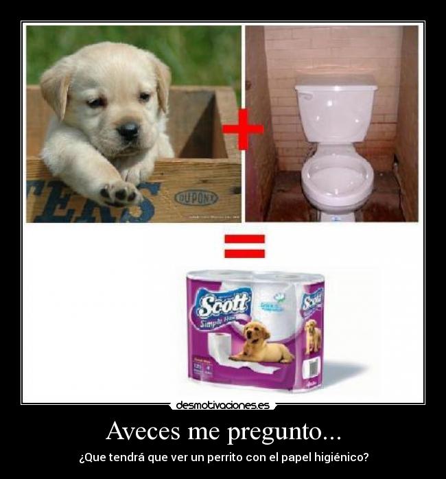 carteles aveces pregunto nyancat17 asdfasdf traumas uuu desmotivaciones