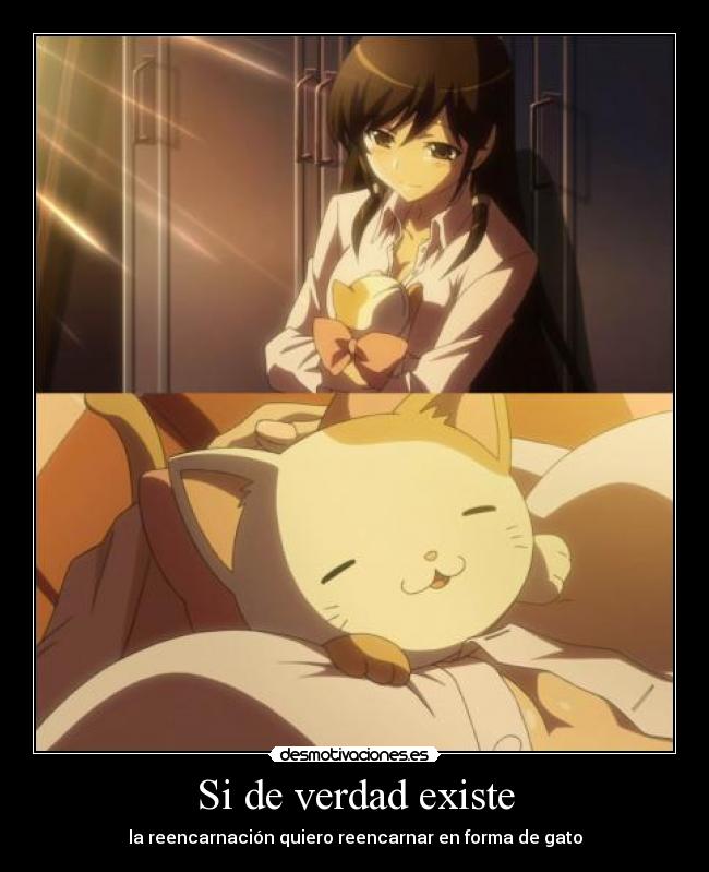 carteles kami nomi shiru sekai anime harukaze you know what mean desmotivaciones