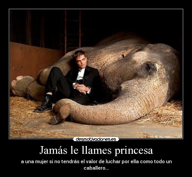 Jamás le llames princesa - a una mujer si no tendrás el valor de luchar por ella como todo un caballero...