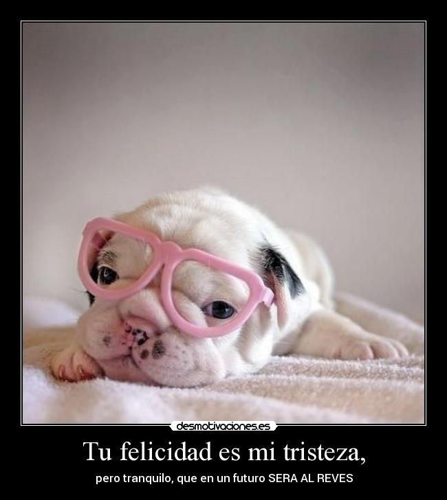 Tu felicidad es mi tristeza, -