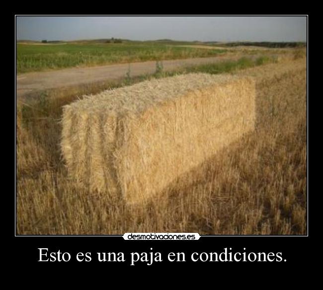 Esto es una paja en condiciones. -