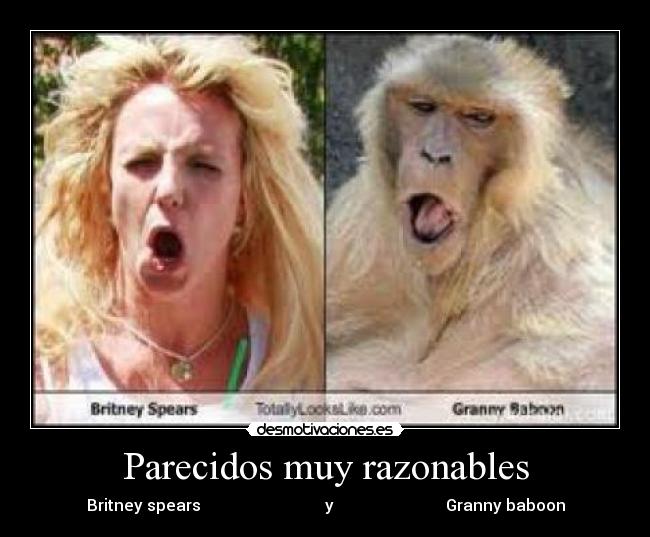 Parecidos muy razonables - 