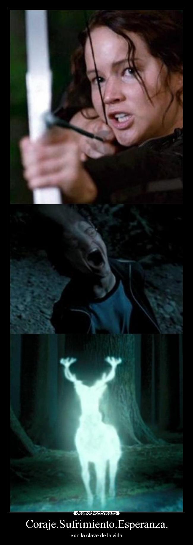 Coraje.Sufrimiento.Esperanza. - Son la clave de la vida.