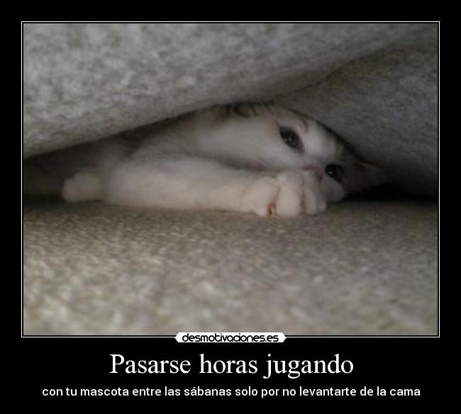 Pasarse horas jugando - 