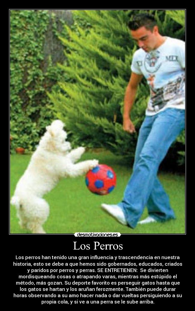 Los Perros - Los perros han tenido una gran influencia y trascendencia en nuestra
historia, esto se debe a que hemos sido gobernados, educados, criados
y paridos por perros y perras. SE ENTRETIENEN: Se divierten
mordisqueando cosas o atrapando varas, mientras más estúpido el
método, más gozan. Su deporte favorito es perseguir gatos hasta que
los gatos se hartan y los aruñan ferozmente. También puede durar
horas observando a su amo hacer nada o dar vueltas persiguiendo a su
propia cola, y si ve a una perra se le sube arriba.