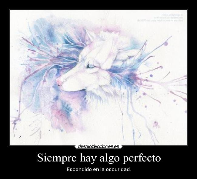 Siempre hay algo perfecto -