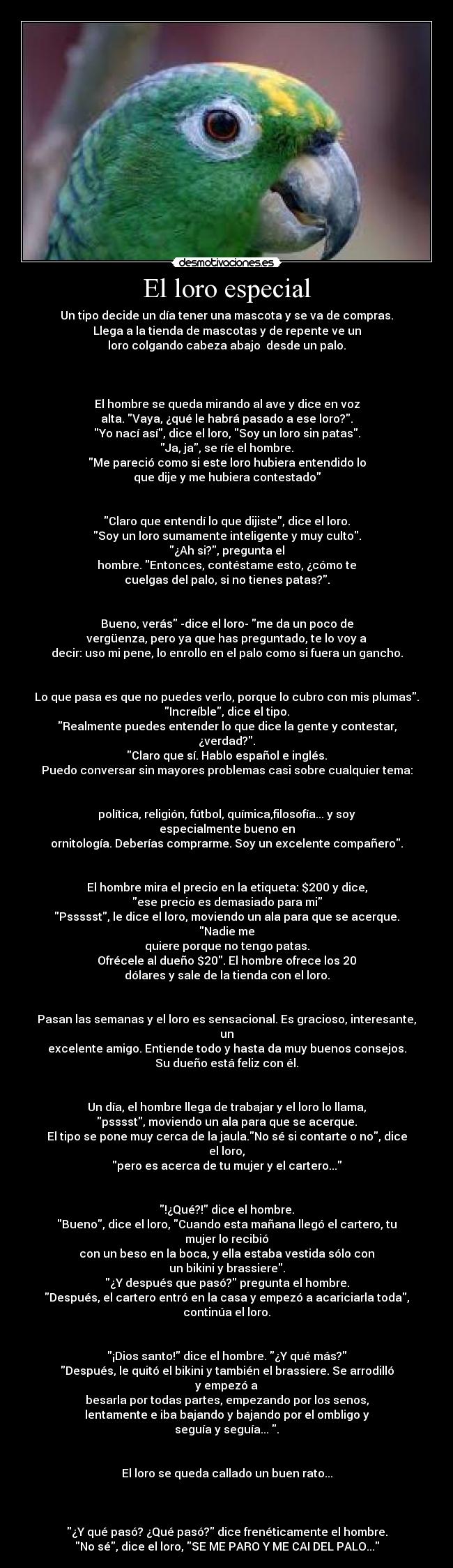 El loro especial - Un tipo decide un día tener una mascota y se va de compras.
Llega a la tienda de mascotas y de repente ve un
loro colgando cabeza abajo desde un palo.
El hombre se queda mirando al ave y dice en voz
alta. Vaya, ¿qué le habrá pasado a ese loro?.
Yo nací así, dice el loro, Soy un loro sin patas.
Ja, ja, se ríe el hombre.
Me pareció como si este loro hubiera entendido lo
que dije y me hubiera contestado
Claro que entendí lo que dijiste, dice el loro.
Soy un loro sumamente inteligente y muy culto.
¿Ah si?, pregunta el
hombre. Entonces, contéstame esto, ¿cómo te
cuelgas del palo, si no tienes patas?.
Bueno, verás -dice el loro- me da un poco de
vergüenza, pero ya que has preguntado, te lo voy a
decir: uso mi pene, lo enrollo en el palo como si fuera un gancho.
Lo que pasa es que no puedes verlo, porque lo cubro con mis plumas.
Increíble, dice el tipo.
Realmente puedes entender lo que dice la gente y contestar, ¿verdad?.
Claro que sí. Hablo español e inglés.
Puedo conversar sin mayores problemas casi sobre cualquier tema:
política, religión, fútbol, química,filosofía... y soy especialmente bueno en
ornitología. Deberías comprarme. Soy un excelente compañero.
El hombre mira el precio en la etiqueta: $200 y dice,
ese precio es demasiado para mi
Pssssst, le dice el loro, moviendo un ala para que se acerque. Nadie me
quiere porque no tengo patas.
Ofrécele al dueño $20. El hombre ofrece los 20
dólares y sale de la tienda con el loro.
Pasan las semanas y el loro es sensacional. Es gracioso, interesante, un
excelente amigo. Entiende todo y hasta da muy buenos consejos.
Su dueño está feliz con él.
Un día, el hombre llega de trabajar y el loro lo llama,
psssst, moviendo un ala para que se acerque.
El tipo se pone muy cerca de la jaula.No sé si contarte o no, dice el loro,
pero es acerca de tu mujer y el cartero...
!¿Qué?! dice el hombre.
Bueno, dice el loro, Cuando esta mañana llegó el cartero, tu mujer lo recibió
con un beso en la boca, y ella estaba vestida sólo con
un bikini y brassiere.
¿Y después que pasó? pregunta el hombre.
Después, el cartero entró en la casa y empezó a acariciarla toda,
continúa el loro.
¡Dios santo! dice el hombre. ¿Y qué más?
Después, le quitó el bikini y también el brassiere. Se arrodilló y empezó a
besarla por todas partes, empezando por los senos,
lentamente e iba bajando y bajando por el ombligo y
seguía y seguía... .
El loro se queda callado un buen rato...
¿Y qué pasó? ¿Qué pasó? dice frenéticamente el hombre.
No sé, dice el loro, SE ME PARO Y ME CAI DEL PALO...
