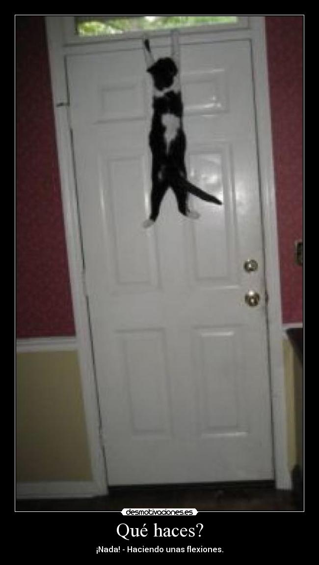 Qué haces? - ¡Nada! - Haciendo unas flexiones.
