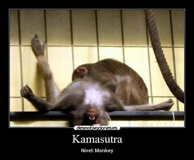 Kamasutra -