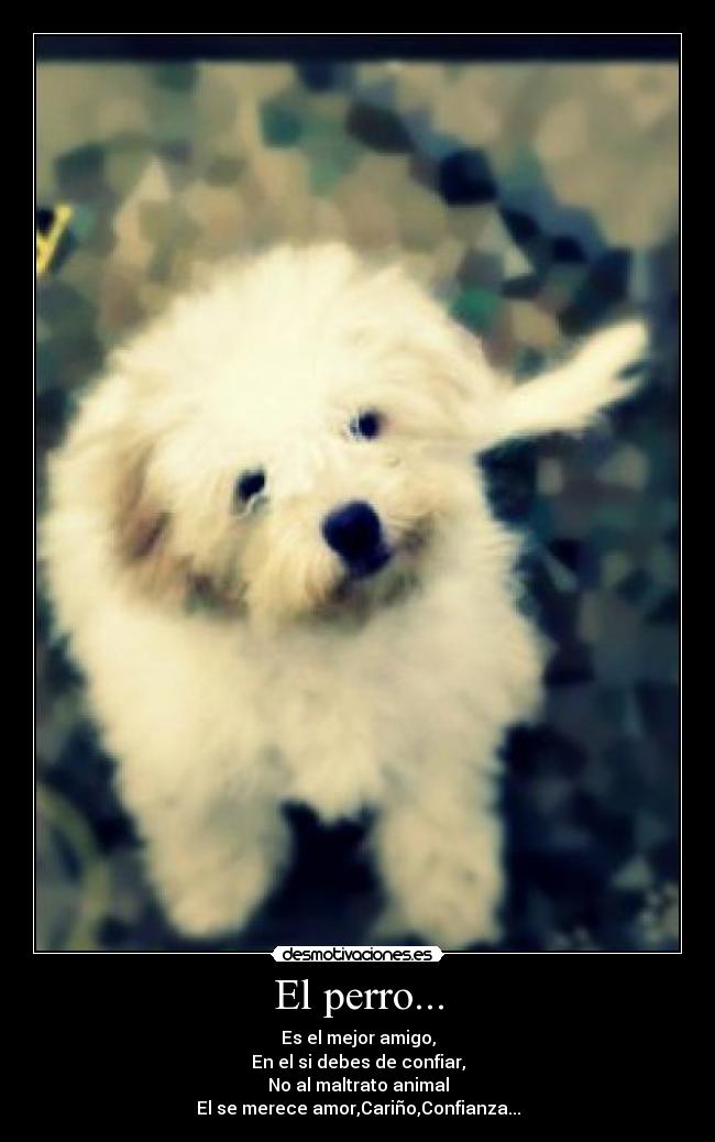 El perro... -