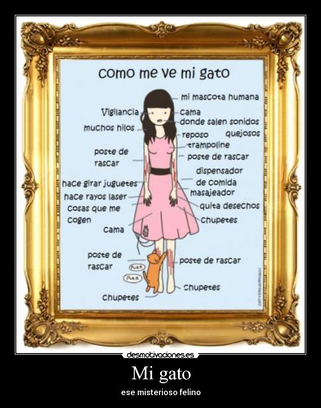 Mi gato -