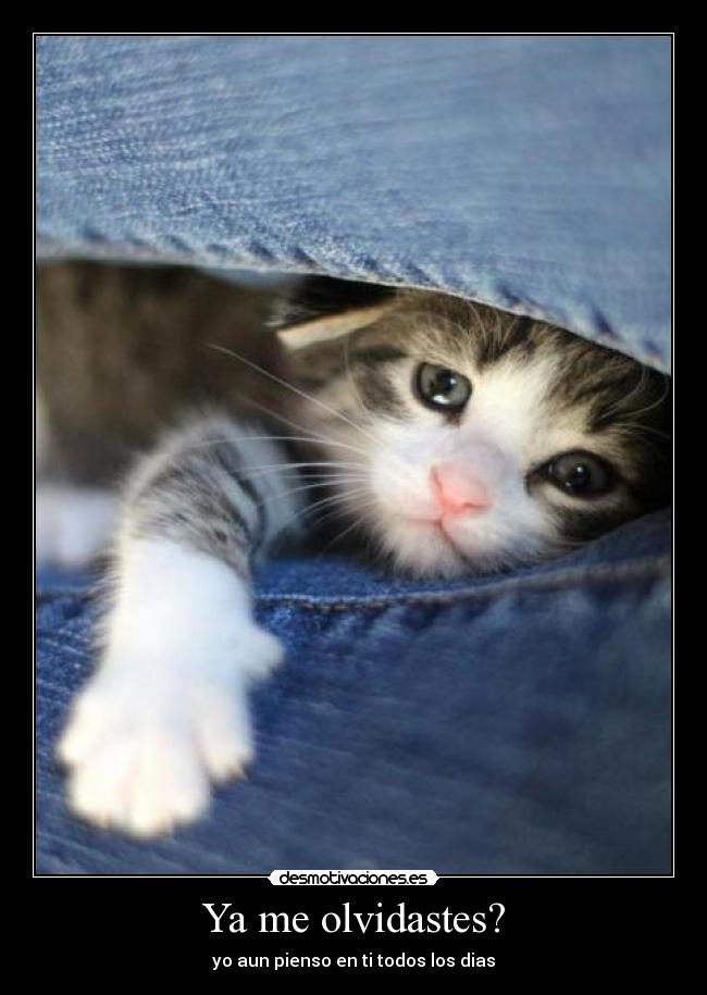 carteles hay mas desmotivaciones