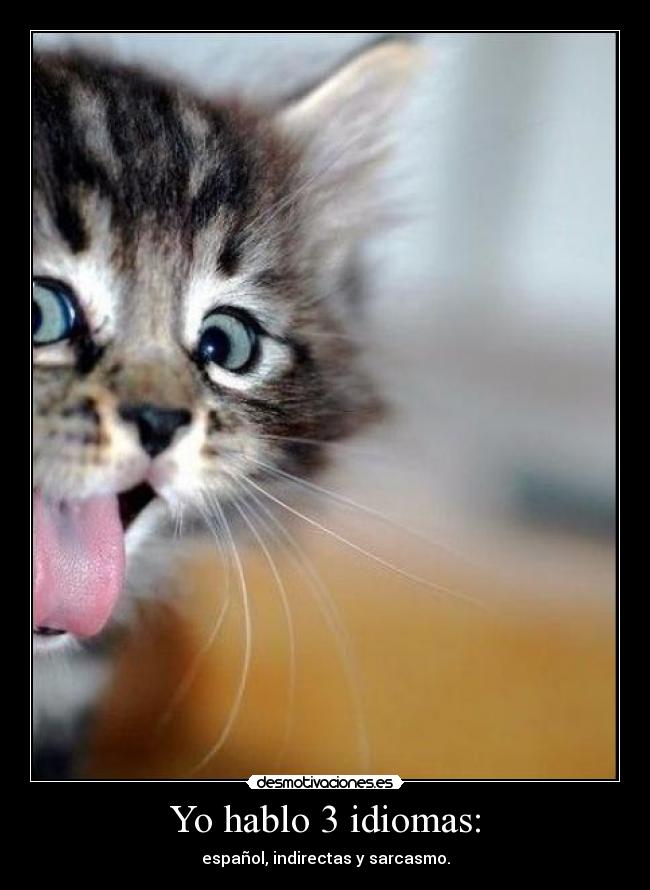Yo hablo 3 idiomas: - 