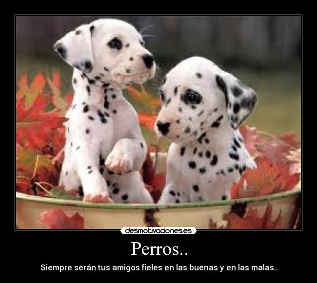 carteles francys zambrano desmotivaciones