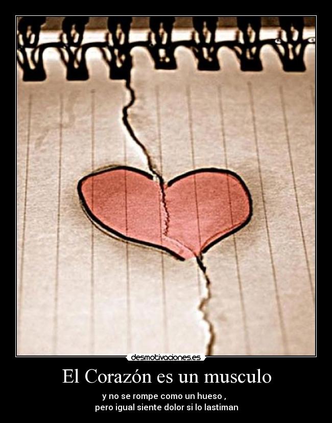 El Corazón es un musculo -