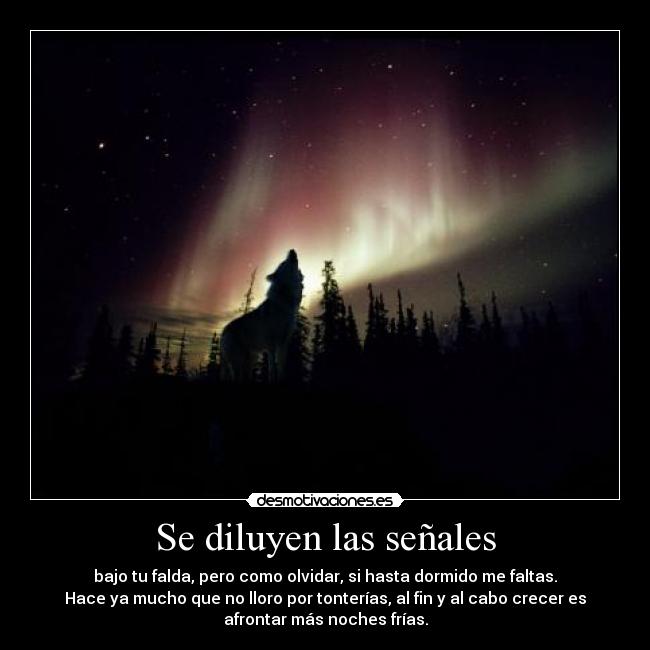 Se diluyen las señales - bajo tu falda, pero como olvidar, si hasta dormido me faltas.
Hace ya mucho que no lloro por tonterías, al fin y al cabo crecer es
afrontar más noches frías.