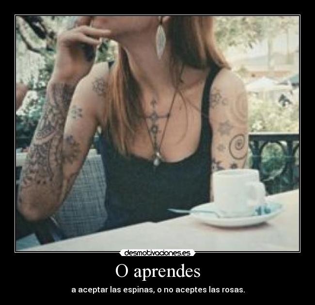 O aprendes - 