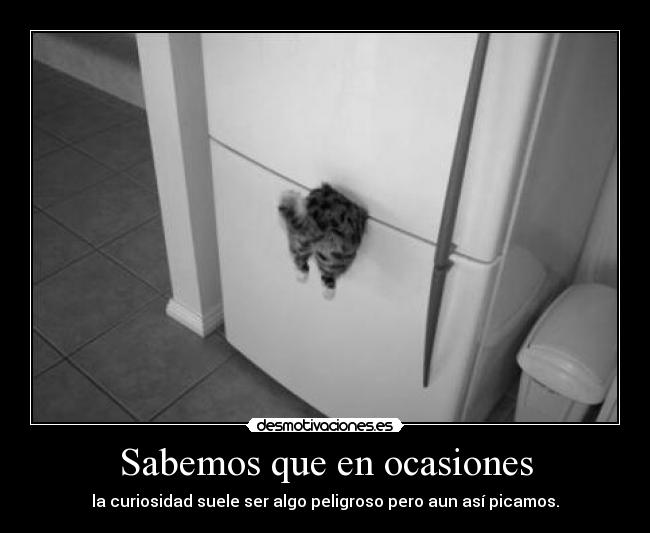 carteles cabezonerias del ser humano desmotivaciones