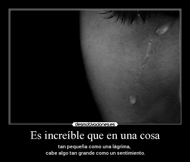 Es increíble que en una cosa - 