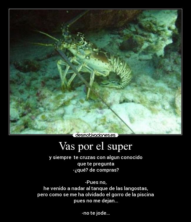 Vas por el super - y siempre te cruzas con algun conocido
que te pregunta
-¿qué? de compras?
-Pues no,
he venido a nadar al tanque de las langostas,
pero como se me ha olvidado el gorro de la piscina
pues no me dejan...
-no te jode...