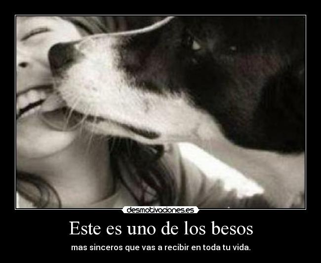 Este es uno de los besos - mas sinceros que vas a recibir en toda tu vida.