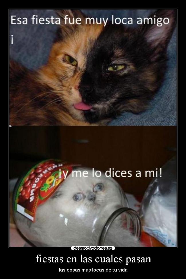 fiestas en las cuales pasan -