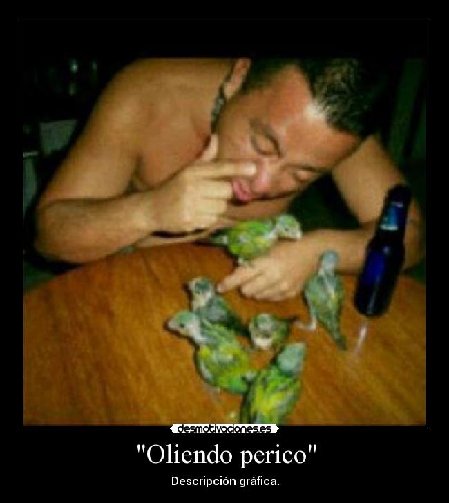 Oliendo perico - 