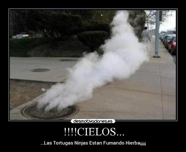 !!!!CIELOS... - ...Las Tortugas Ninjas Estan Fumando Hierba¡¡¡¡¡