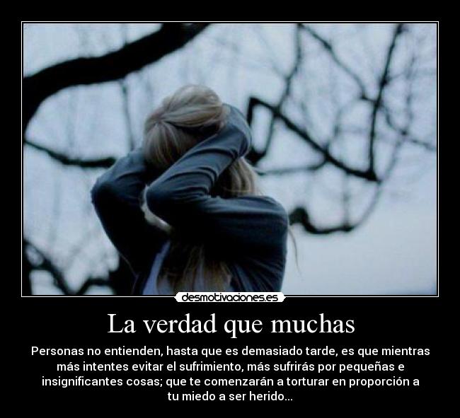 carteles l2sj desmotivaciones