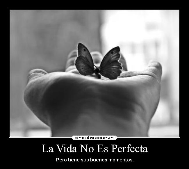 La Vida No Es Perfecta -