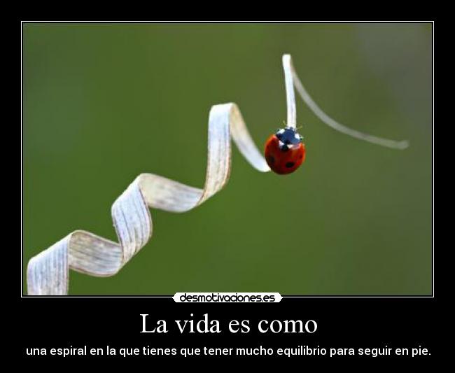 La vida es como - una espiral en la que tienes que tener mucho equilibrio para seguir en pie.