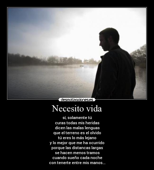 carteles vida lejos desmotivaciones