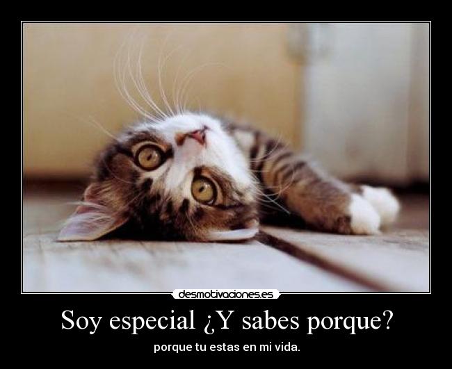 Soy especial ¿Y sabes porque? - 