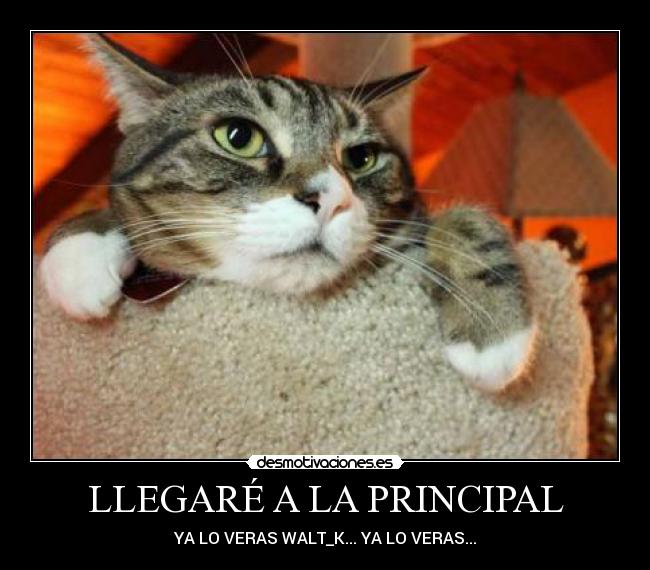 LLEGARÉ A LA PRINCIPAL - 