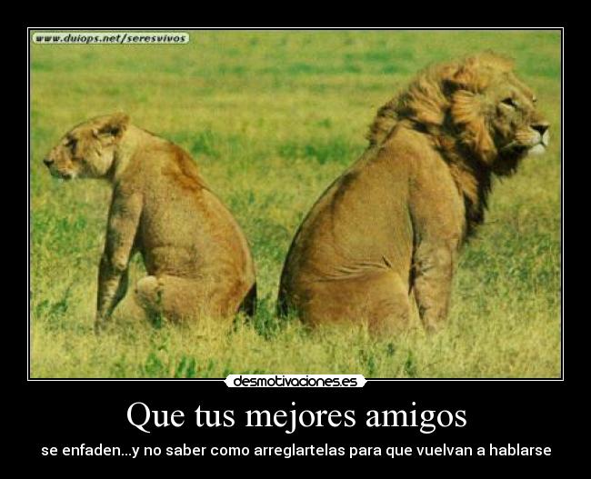 Que tus mejores amigos - se enfaden...y no saber como arreglartelas para que vuelvan a hablarse