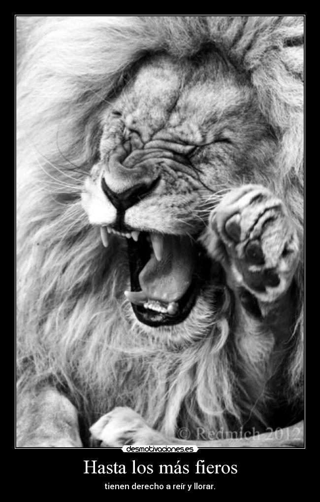 Hasta los más fieros -
