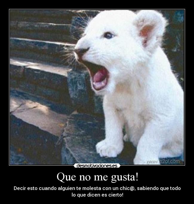 carteles gustos desmotivaciones