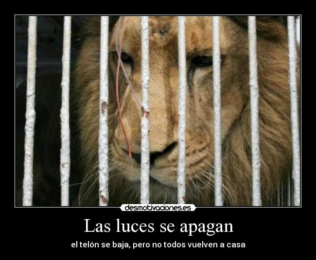 Las luces se apagan - el telón se baja, pero no todos vuelven a casa