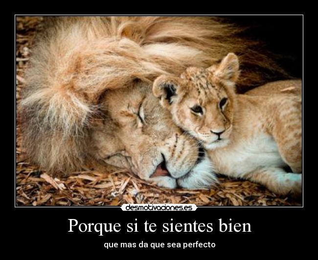 Porque si te sientes bien - que mas da que sea perfecto