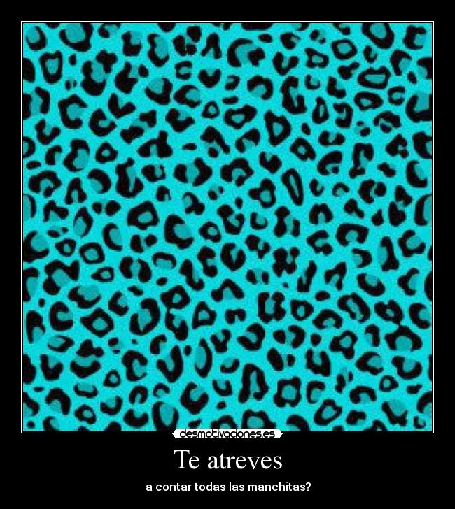 Te atreves - a contar todas las manchitas?