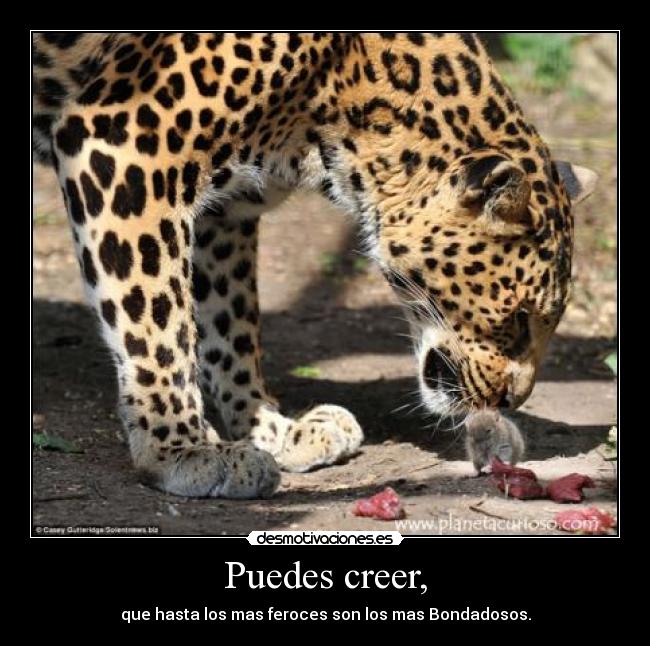 carteles yohaovdj desmotivaciones