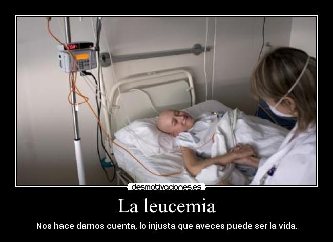 La leucemia -