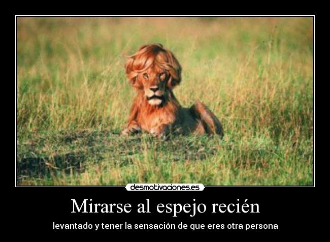 Mirarse al espejo recién -