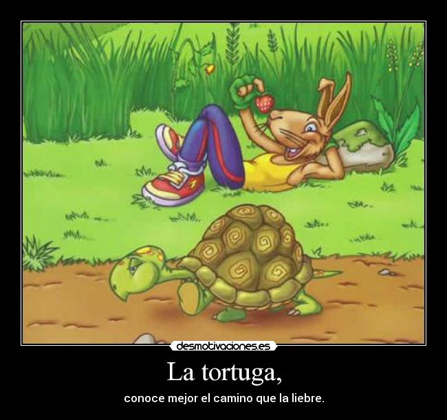 carteles wapipoyo desmotivaciones