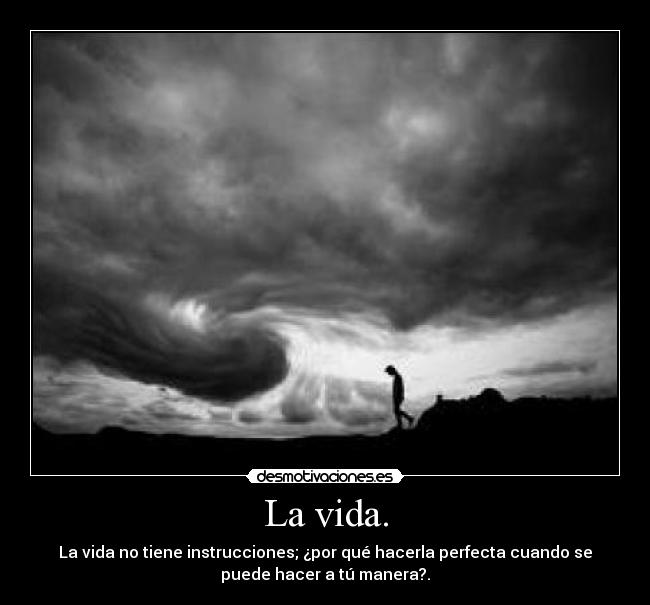 La vida. - La vida no tiene instrucciones; ¿por qué hacerla perfecta cuando se
puede hacer a tú manera?.