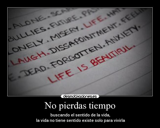 No pierdas tiempo - buscando el sentido de la vida,
la vida no tiene sentido existe solo para vivirla