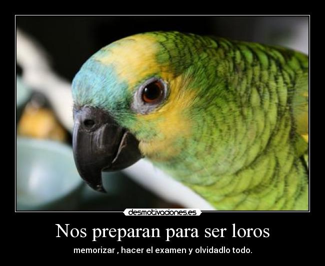 carteles somos simples loros desmotivaciones