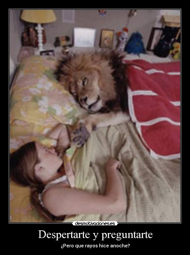 Despertarte y preguntarte -